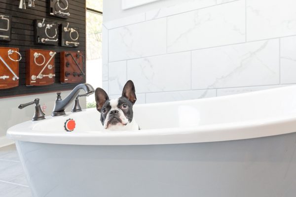 Lifestyle Home Builders' Design Studio