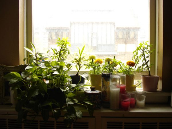 Stylish Windowsill Displays